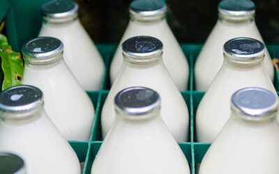 Supporting Local Farmers With Eco-Friendly Deliveries in York